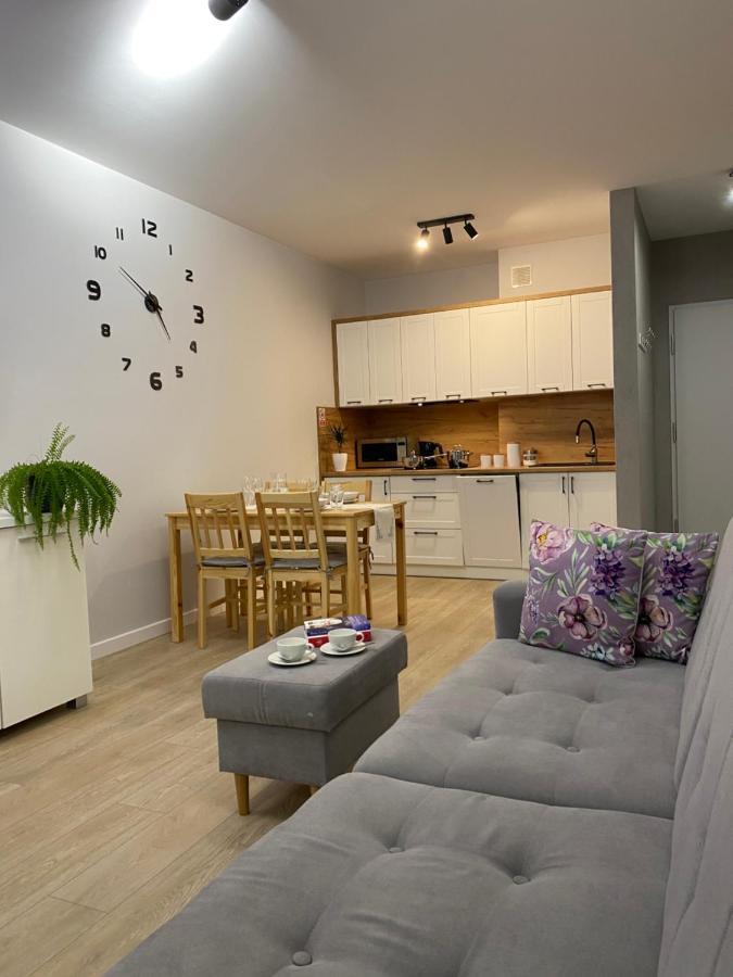 Apartament Bieszczadzkie Widoki Ustrzyki Dolne Luaran gambar